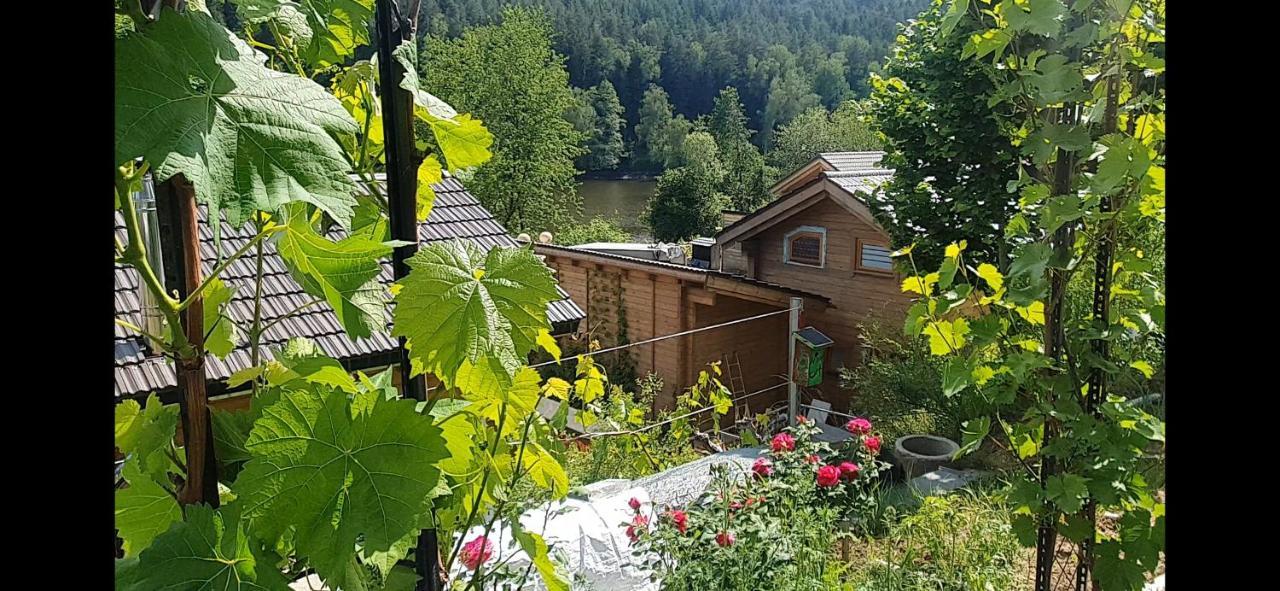 Holzhaus Am See Mit Panoramablick Trausnitz Εξωτερικό φωτογραφία