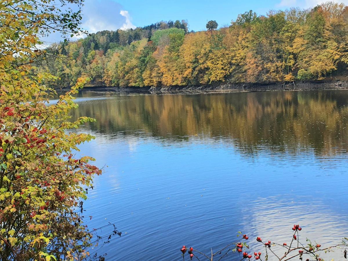 Holzhaus Am See Mit Panoramablick Trausnitz Εξωτερικό φωτογραφία
